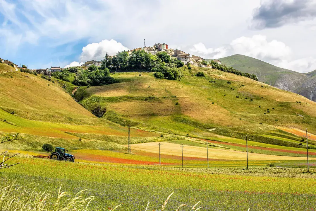Castelluccio di Norcia - virágok tengere az Apenninek szívében