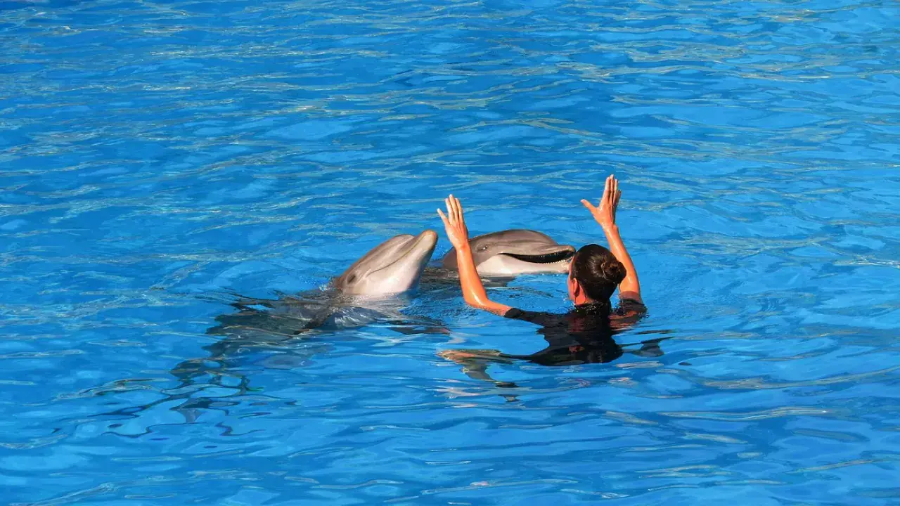 Családi, gyerekbarát programok Tenerifén