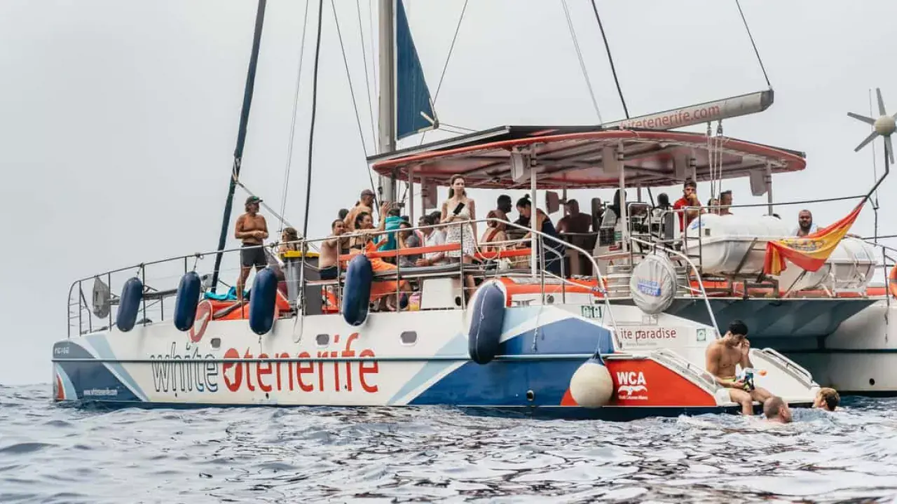 Delfinek és bálnák Tenerifén: Egy felejthetetlen katamarán kaland