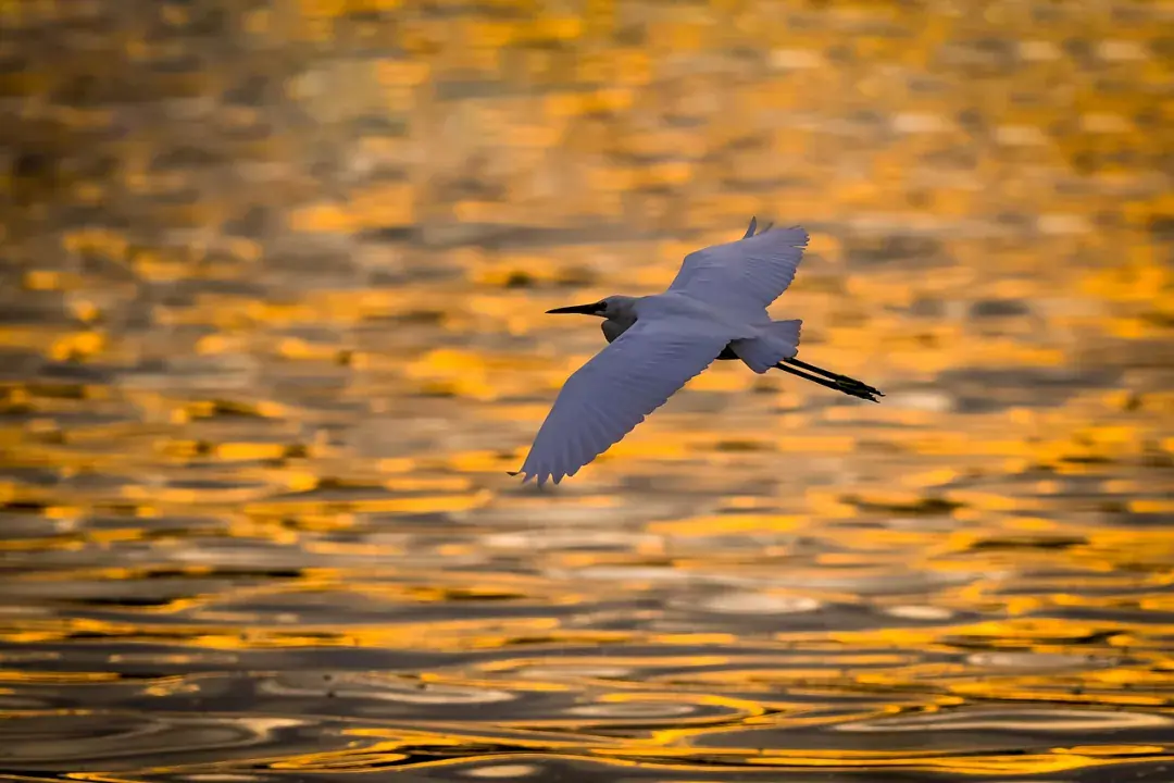 Gaià folyó völgye - középpontban a katalán természet