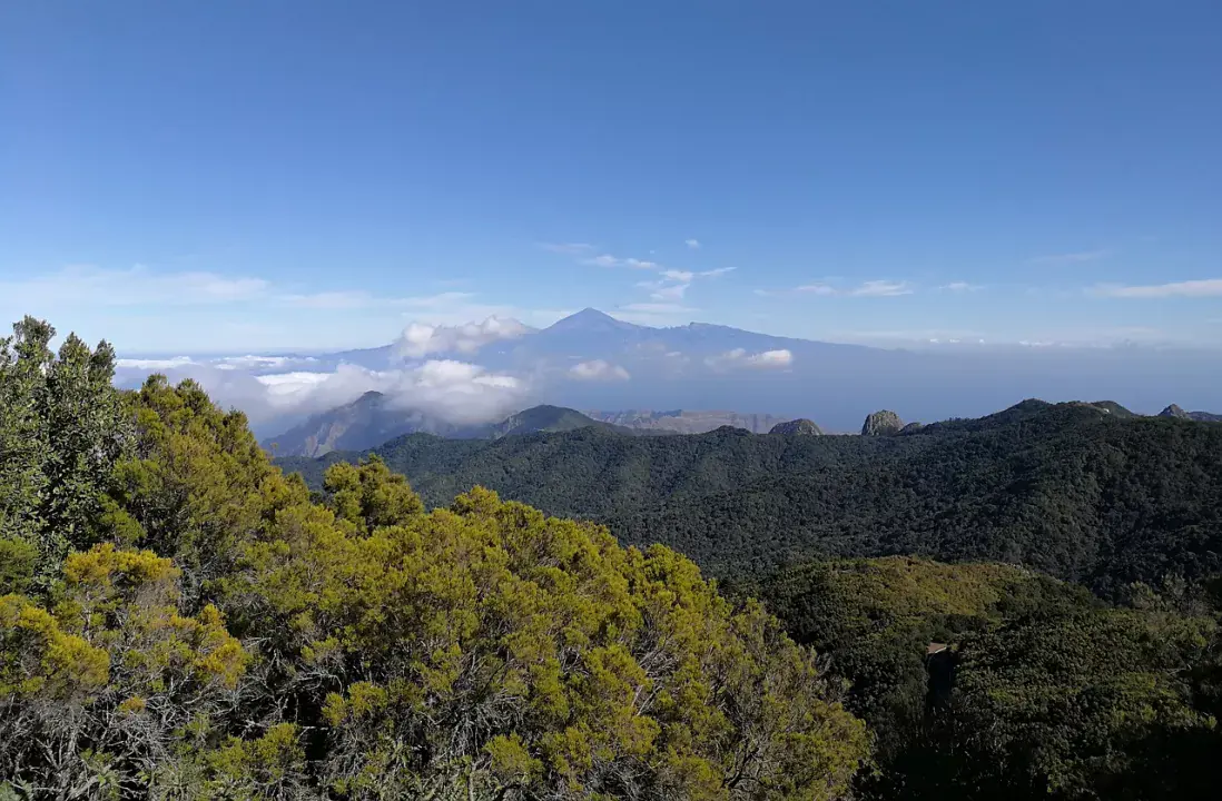 Garajonay Nemzeti Park, La Gomera