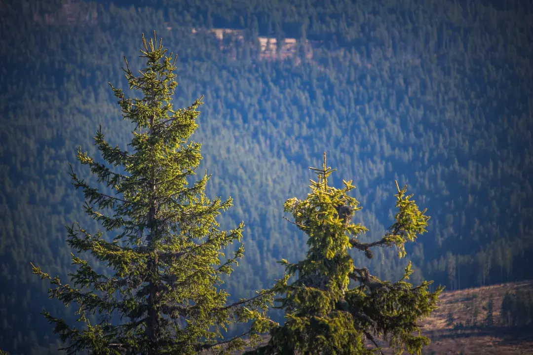 Hargita-Erdély szívének varázslatos hegyvidéke