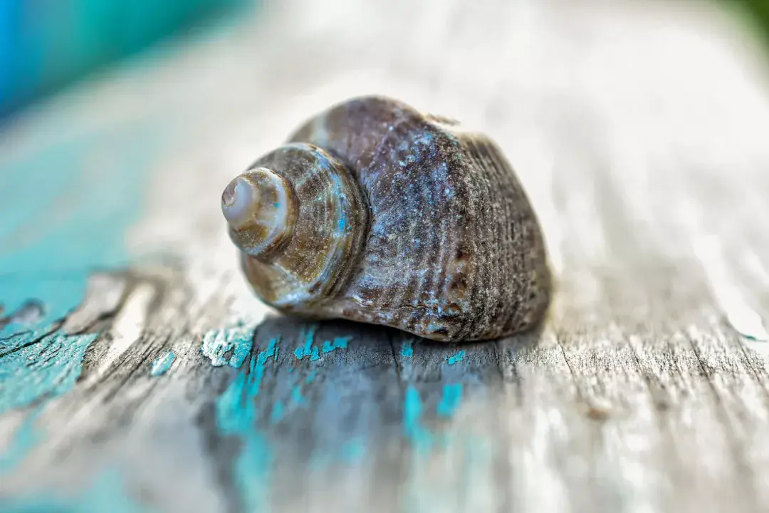 Irány Lérosz a csend szigete