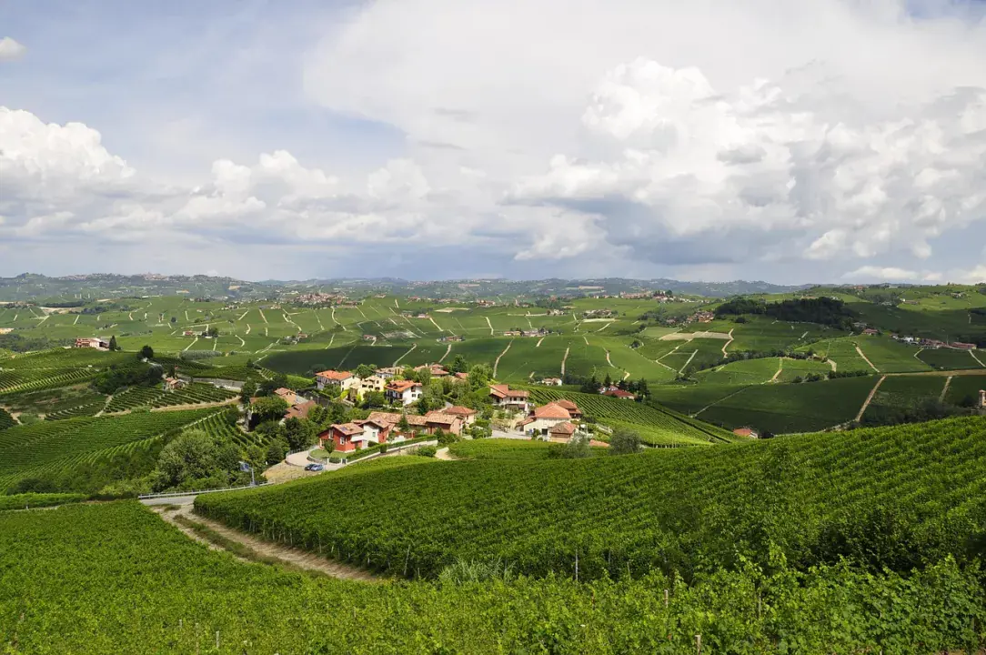 Langhe, Piemont