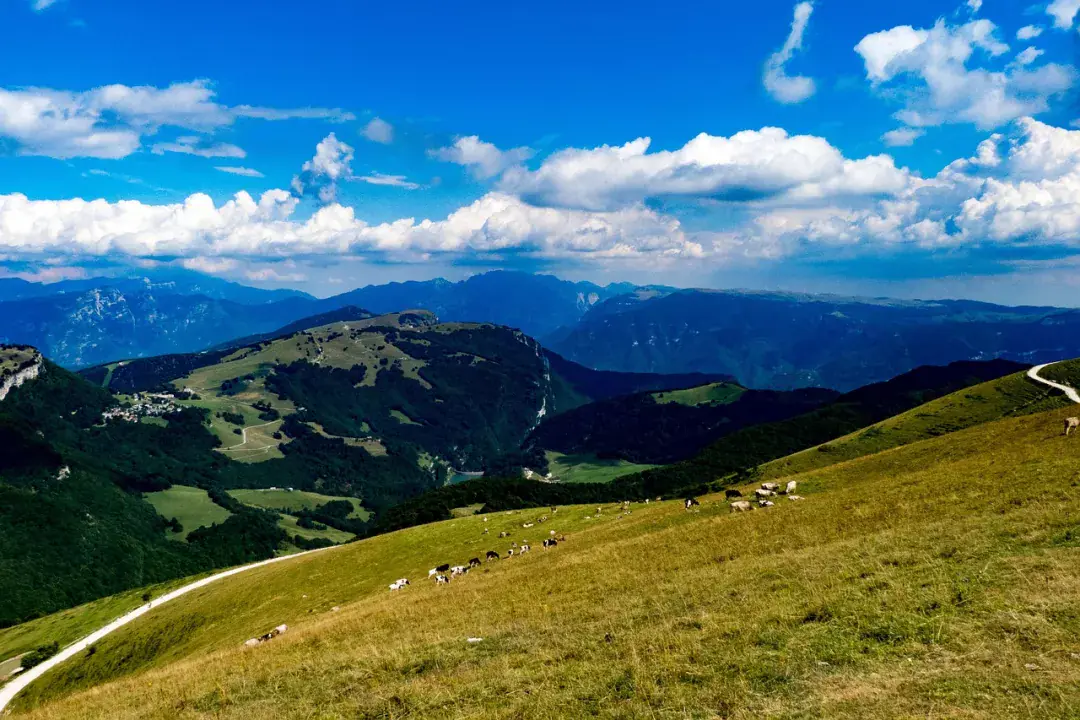 Monte Baldo - Európa botanikus kertje