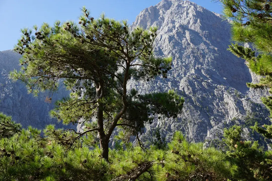 Samarai Nemzeti Park, Kréta