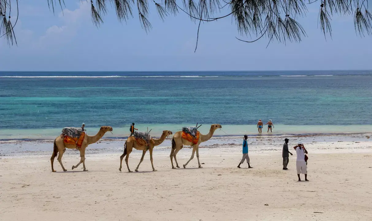 Sütkérezz a Diani Beach-en, Kenya egyik legszebb trópusi paradicsomában