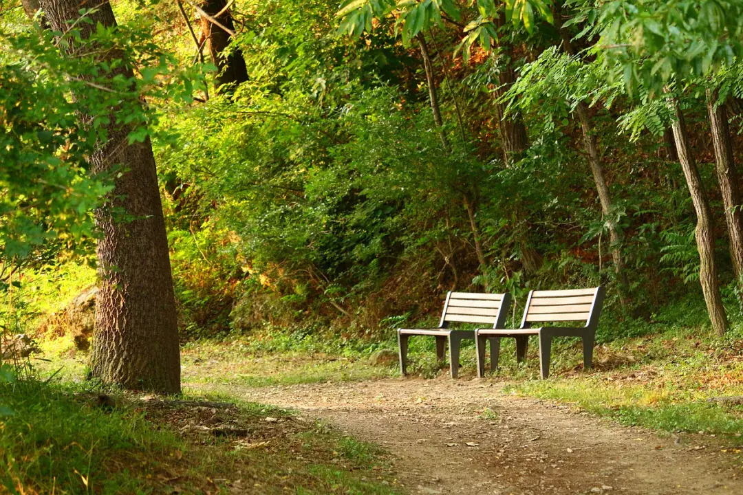 Tamadaba Természeti Park, Las Palmas