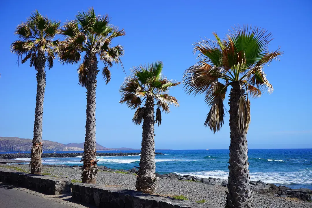 Tenerife nyüzsgő üdülőhelye Playa de las Américas